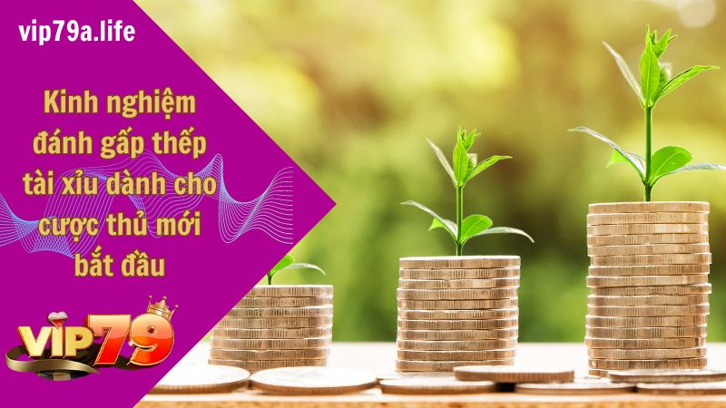 đánh gấp thếp tài xỉu