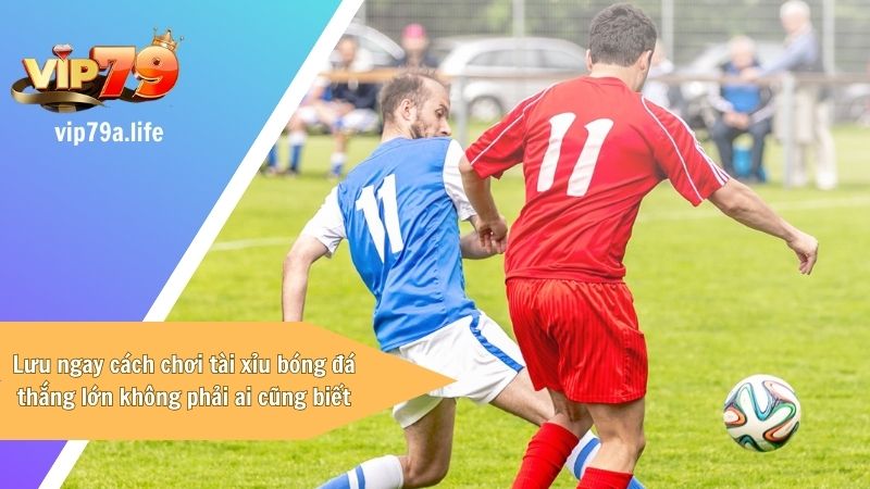 cách chơi tài xỉu bóng đá luôn thắng