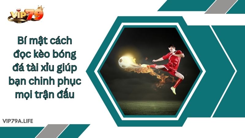 Cách đọc kèo bóng đá tài xỉu