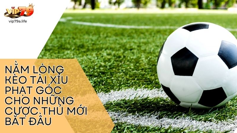 tài xỉu phạt góc