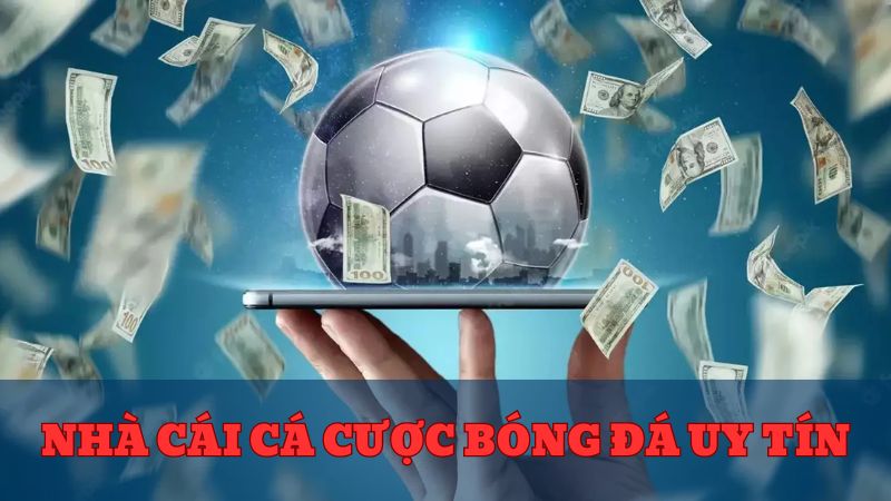 nhà cái cá cược bóng đá